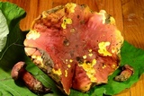 Boletus pallidoroseus image