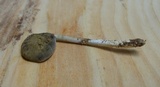 Simocybe serrulata image