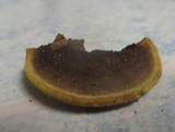 Phellinus gilvus image