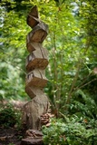 Phellinus gilvus image