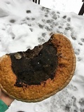 Fomitopsis mounceae image