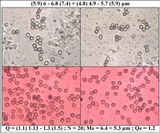 Pluteus insidiosus image