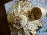 Russula graveolens image
