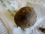 Suillus fuscotomentosus image