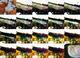 Aspicilia cyanescens image