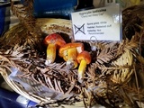 Hygrocybe laetissima image
