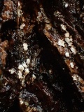 Propolis leonis image
