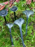 Arrhenia chlorocyanea image