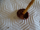 Cortinarius smithii image