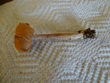Laccaria nobilis image
