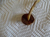 Cortinarius smithii image
