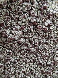 Lecanora argopholis image