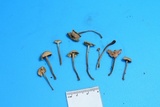 Mycetinis olidus image