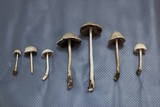 Panaeolus antillarum image