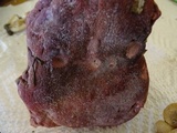 Russula rhodocephala image