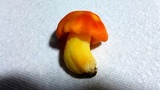 Hygrocybe aurantiosplendens image