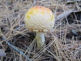 Image Associated With the Occurrence
