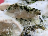 Oxyporus populinus image