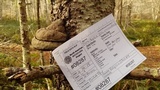 Fomitopsis mounceae image