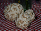 Calbovista subsculpta image