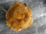 Onnia tomentosa image