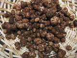 Tuber gibbosum image
