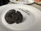 Entoloma bloxamii image