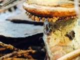 Ganoderma meredithiae image