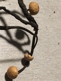 Poronia pileiformis image