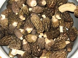 Morchella septentrionalis image