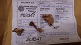 Trichaptum abietinum image