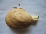 Tylopilus indecisus image