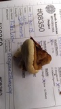 Fomitopsis ochracea image