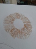 Gymnopilus imperialis image