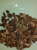 Psathyrella cacao image
