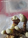 Ganoderma resinaceum image