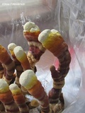 Ganoderma resinaceum image