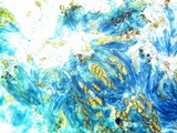 Rinodina californiensis image