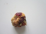 Hapalopilus rutilans image