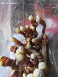Ganoderma resinaceum image