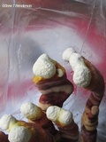 Ganoderma resinaceum image