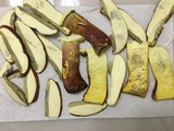 Boletus pallidoroseus image