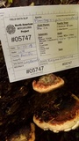 Fomitopsis mounceae image