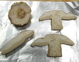 Boletus variipes image