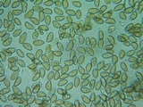 Inocybe abjecta image