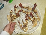Ganoderma resinaceum image