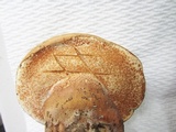 Tylopilus ferrugineus image