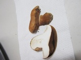 Tylopilus ferrugineus image