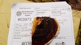 Fomitopsis mounceae image