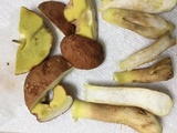 Xerocomus hortonii image